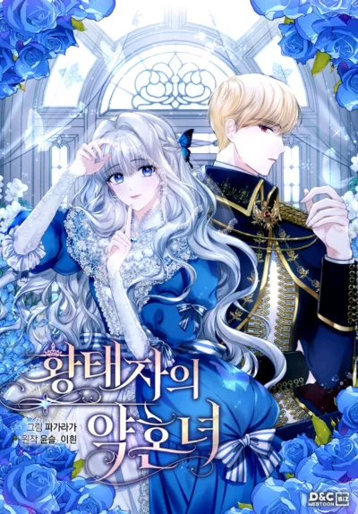 The Prince’s Fiancee kapak