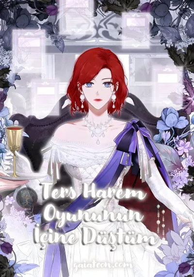 Ters Harem Oyununun İçine Düştüm! kapak resmi