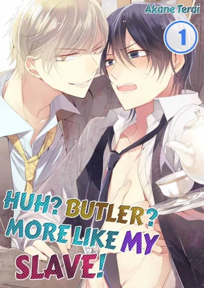 Huh? Butler? More Like My Slave! kapak