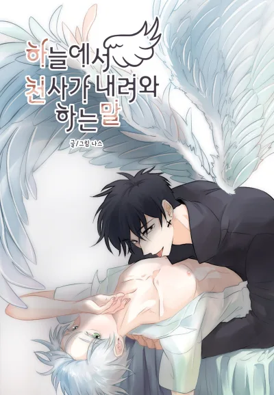 The Words of an Angel Who Came from the Heaven kapak