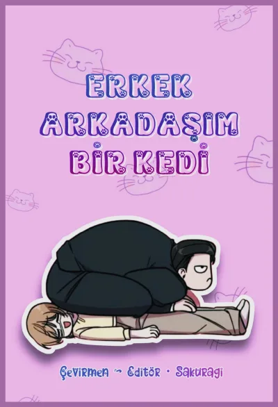 Erkek Arkadaşım Bir Kedi kapak