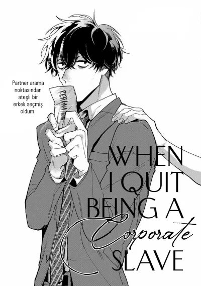 When I Quit Being a Corporate Slave kapak resmi